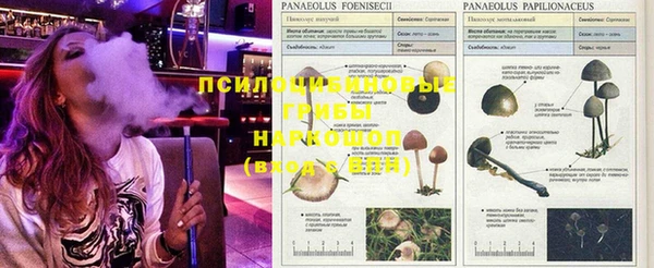 MDMA Premium VHQ Кукмор