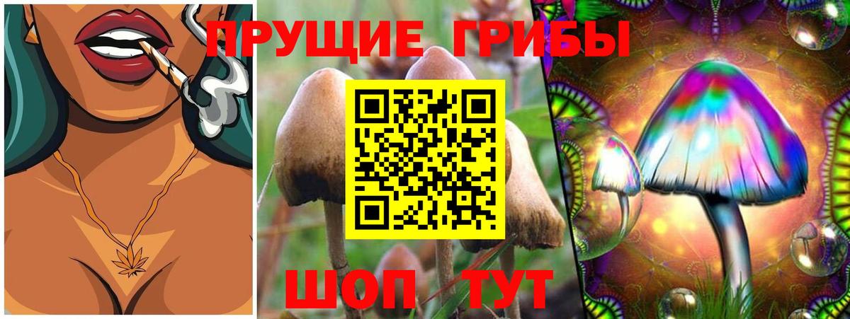 Псилоцибиновые грибы мицелий Нефтеюганск